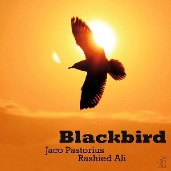 PASTORIUS JACO & RASHIED ALI: 