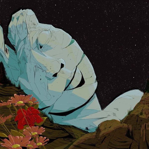 The New Pornographers: 