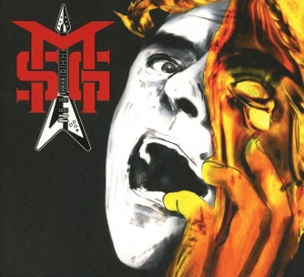 SCHENKER MICHAEL GROUP: 