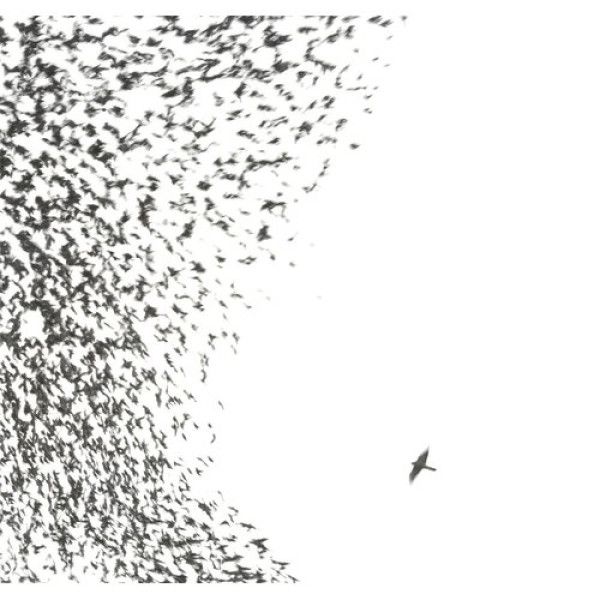 WILCO: 