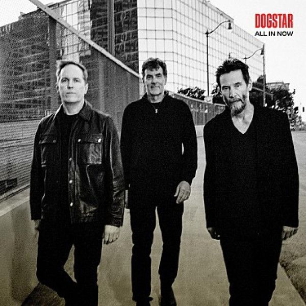 DOGSTAR: ALL IN NOW