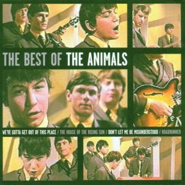 ANIMALS: 