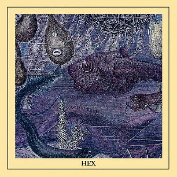 HEX: 