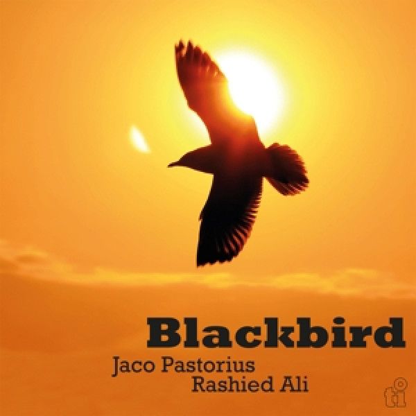 PASTORIUS JACO/RASHIED ALI: BLACKBIRD
