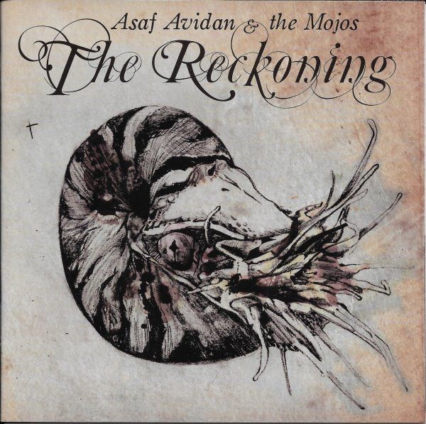 AVIDAM ASAF: The Reckoning