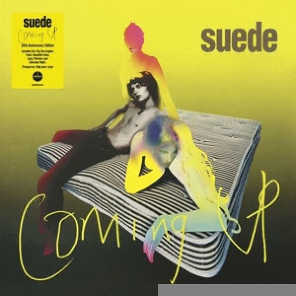 SUEDE: 