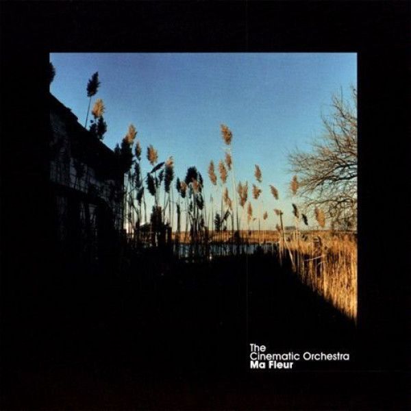 The Cinematic Orchestra: 