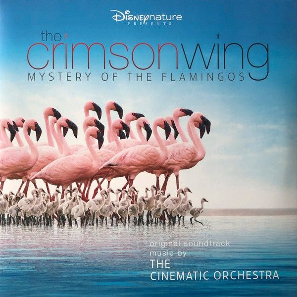 The Cinematic Orchestra: 