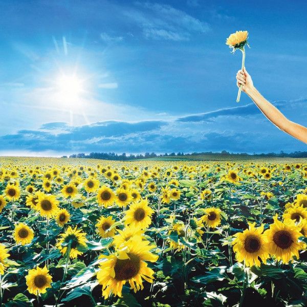 STONE TEMPLE PILOTS: 