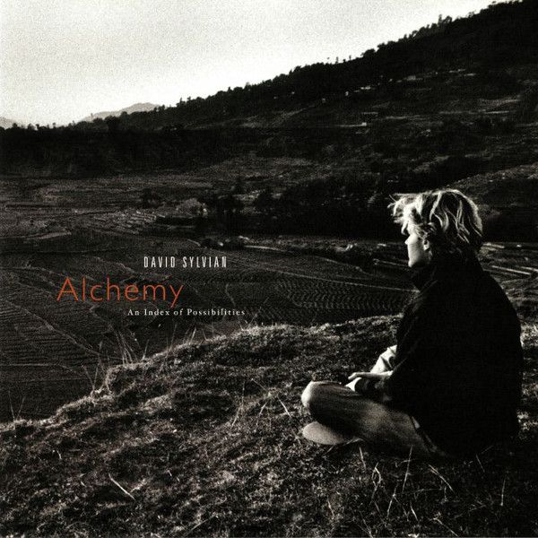 David Sylvian: 