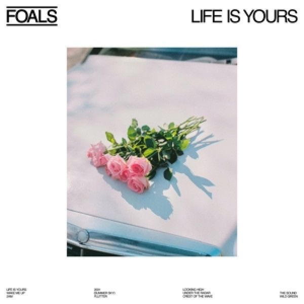 FOALS: 
