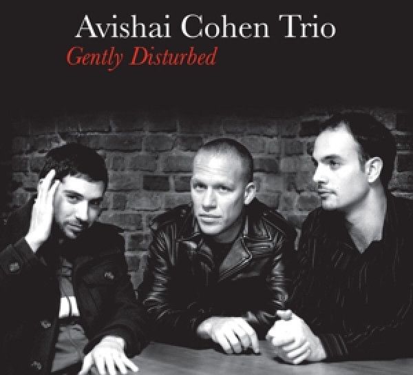 COHEN AVISHAI: 